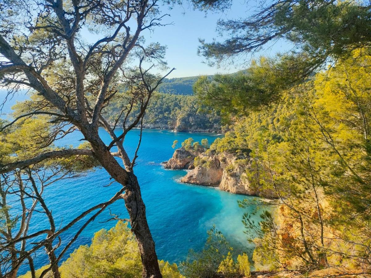 T3 Saint Cyr Sur Mer 83270 Exterior foto